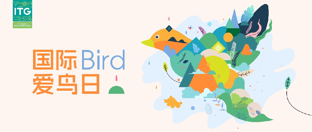 国际爱鸟日｜绿色运营，为生态文明扬腾飞之翼
