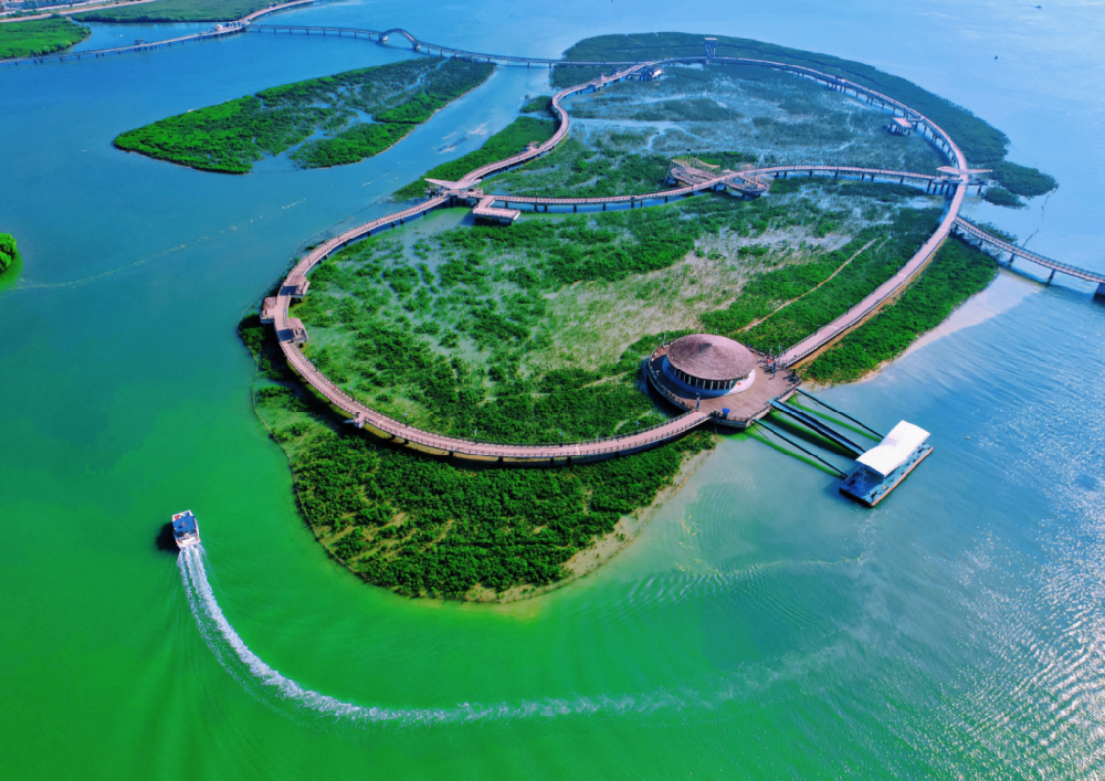 自然资源部组织学习“厦门实践”经验 考察国贸控股集团运营管理项目