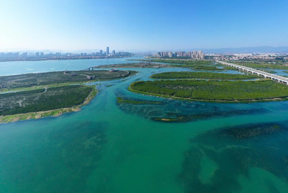 再度入围！国贸控股集团入选《财富》2024年中国ESG影响力榜