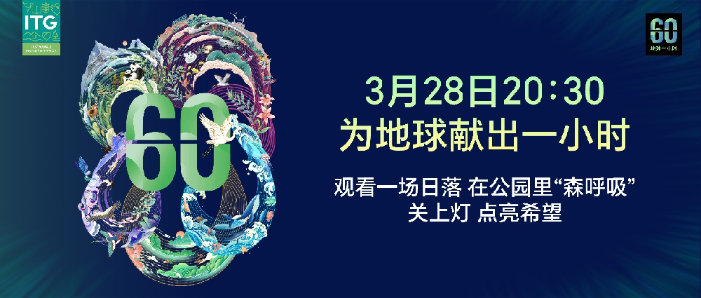 为地球献出一小时